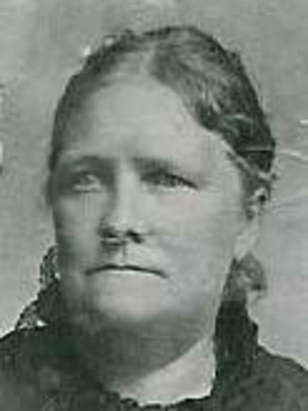Caroline Matilda King (1836 - 1917) Profile